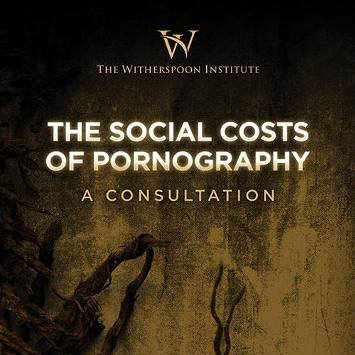 The Social Costs of Pornography
